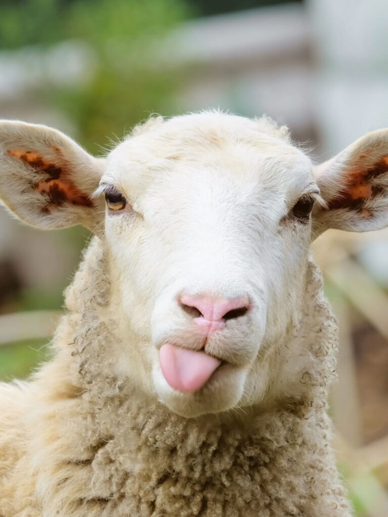 2ed8b5a312eed59d9bdeaee5b5f00ed0